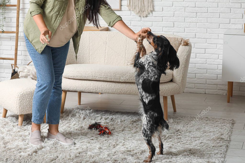 Istruttore premia il cane con un bocconcino